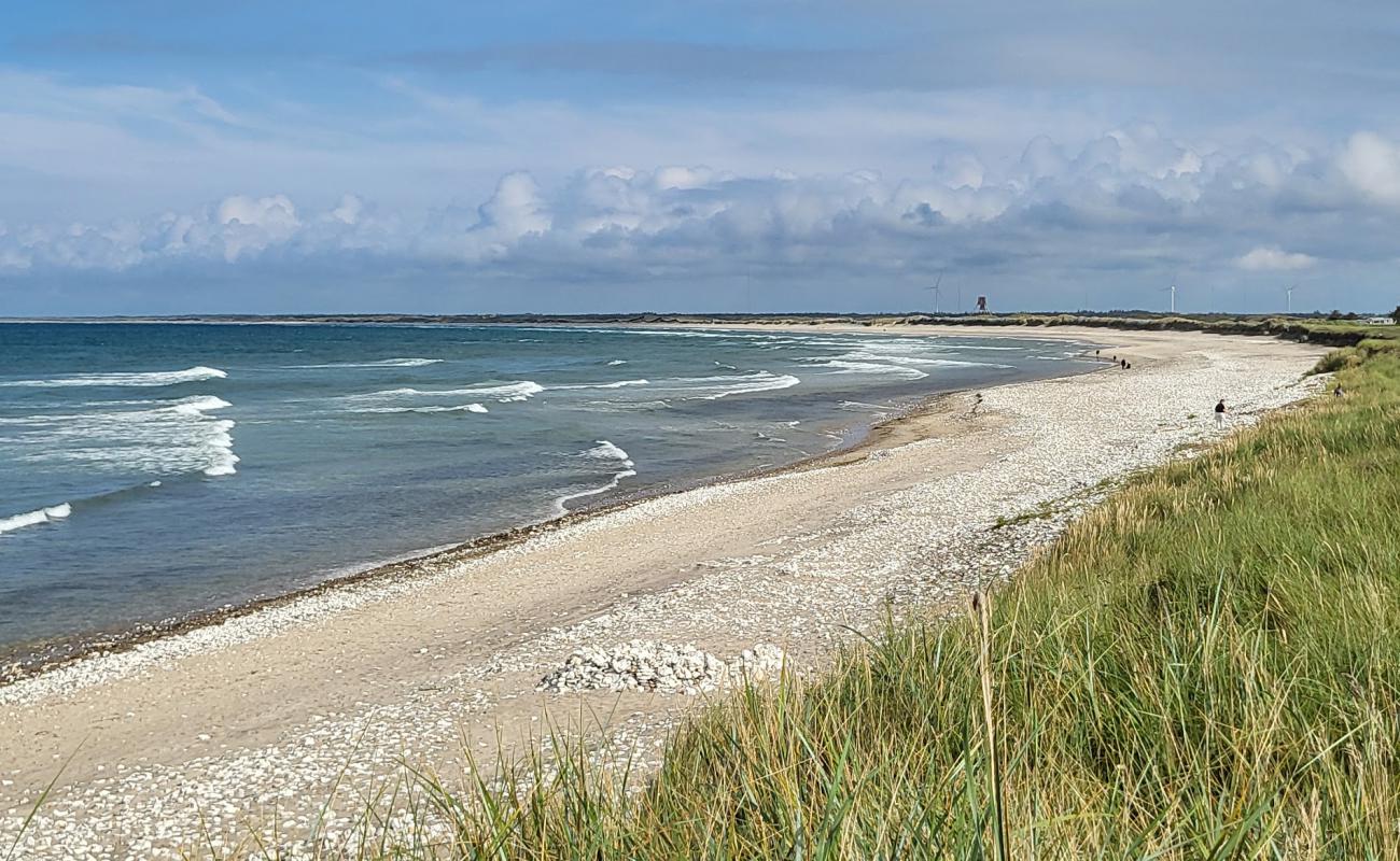 Vigso Battery Beach'in fotoğrafı parlak kum ve kayalar yüzey ile