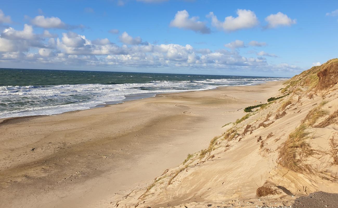 Lyngby Beach'in fotoğrafı parlak kum yüzey ile