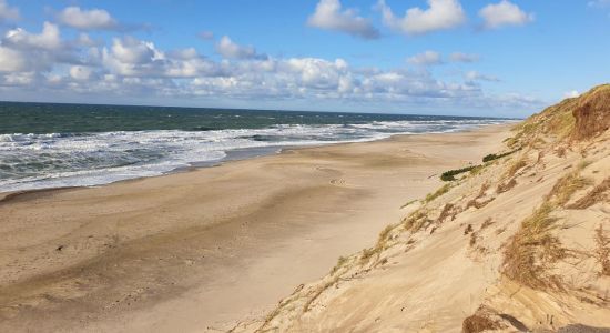 Lyngby Beach