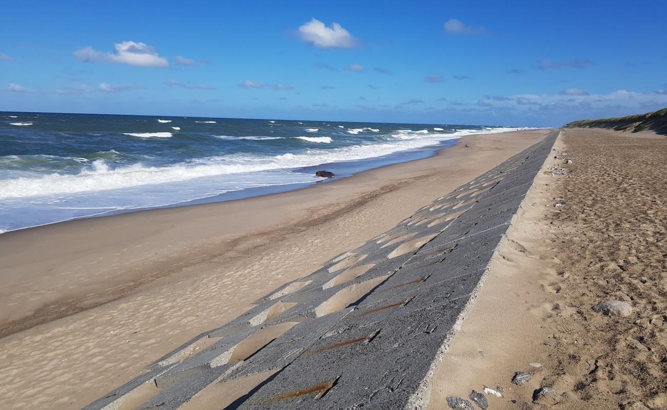 Vejlby Klit Beach'in fotoğrafı açık bej kum yüzey ile