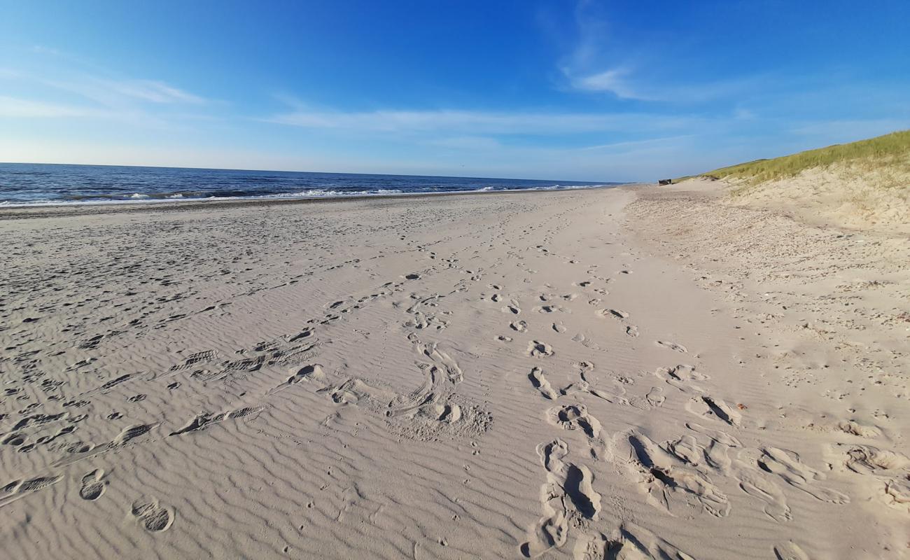 Spidsbjerg Beach'in fotoğrafı açık bej kum yüzey ile