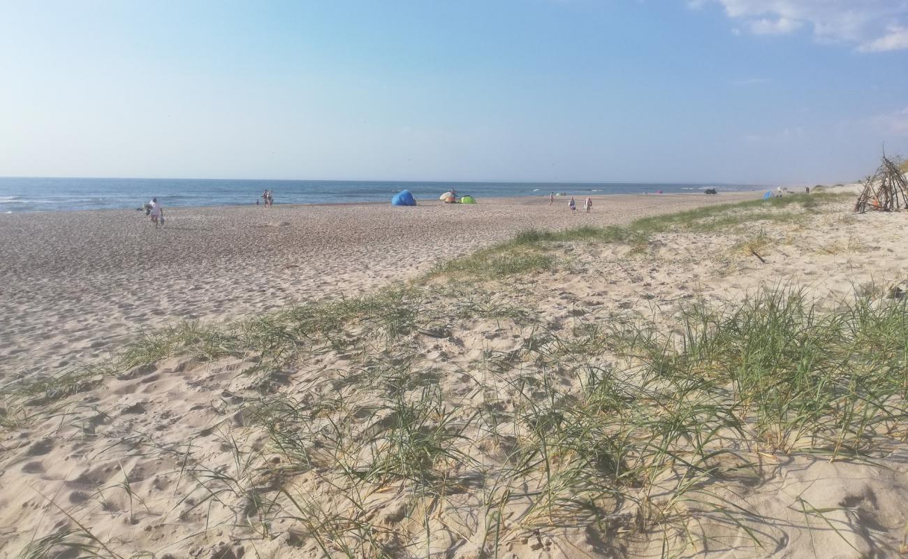 Sidselbjerg Beach'in fotoğrafı açık bej kum yüzey ile