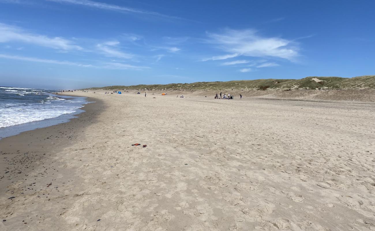 Sondervig Beach'in fotoğrafı açık bej kum yüzey ile