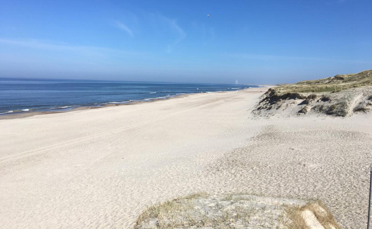 Skodbjerge Beach'in fotoğrafı parlak kum yüzey ile