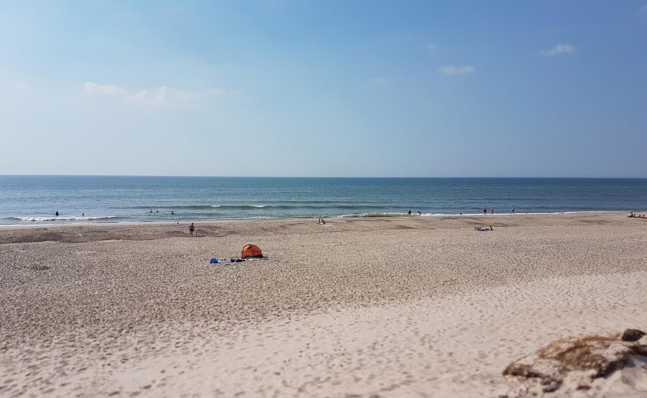 Bjerregard Beach'in fotoğrafı açık bej kum yüzey ile