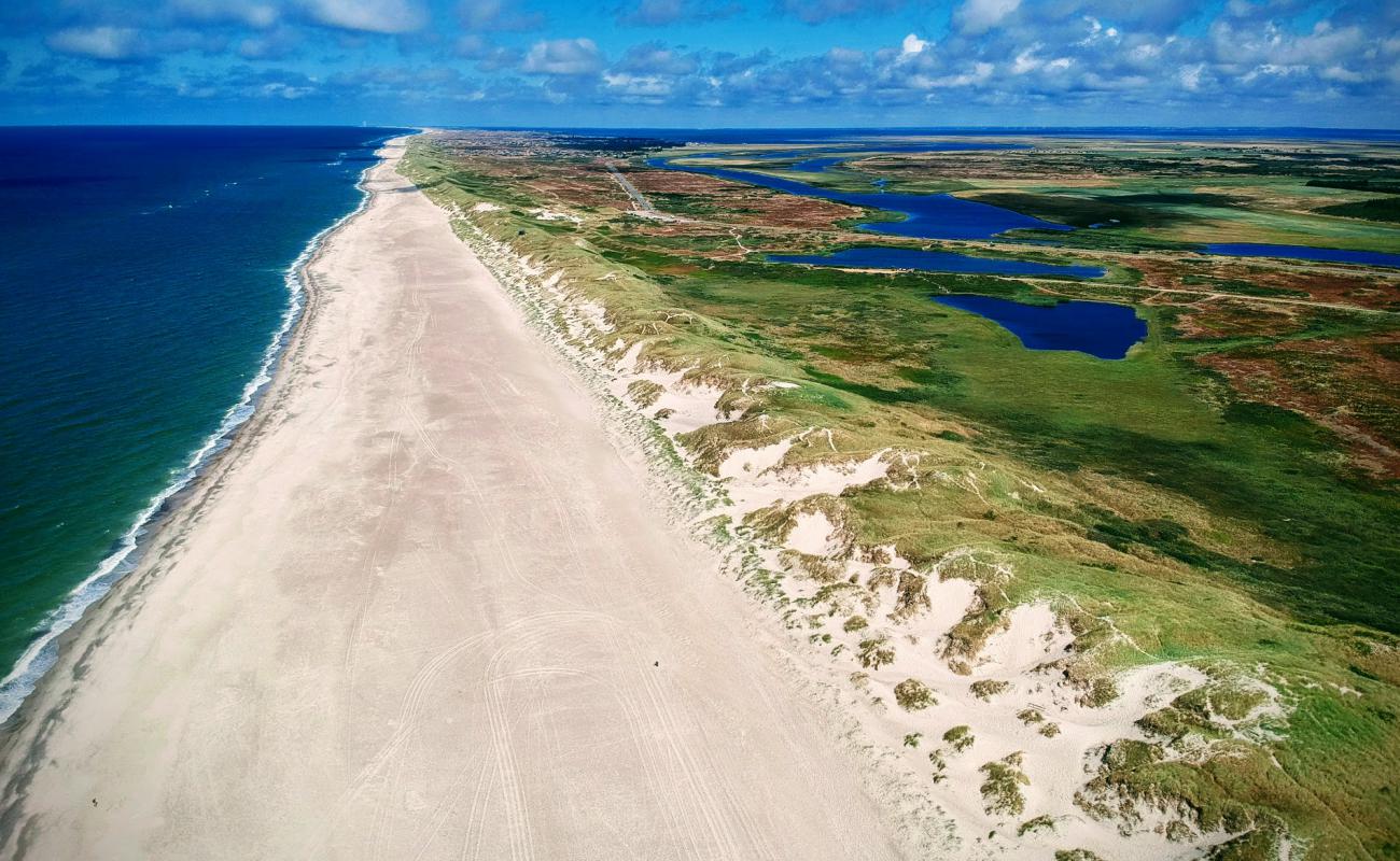 Nymindegab Beach'in fotoğrafı parlak kum yüzey ile