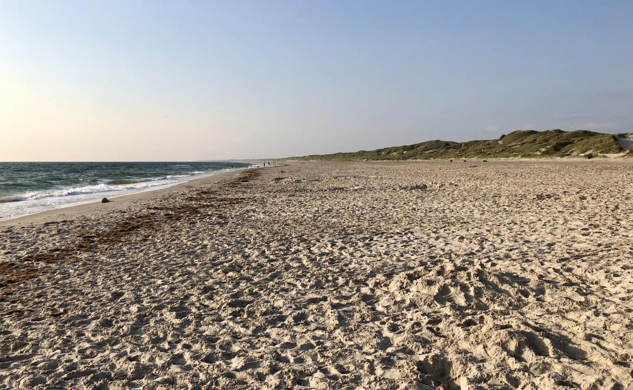 Houstrup Beach'in fotoğrafı parlak kum yüzey ile