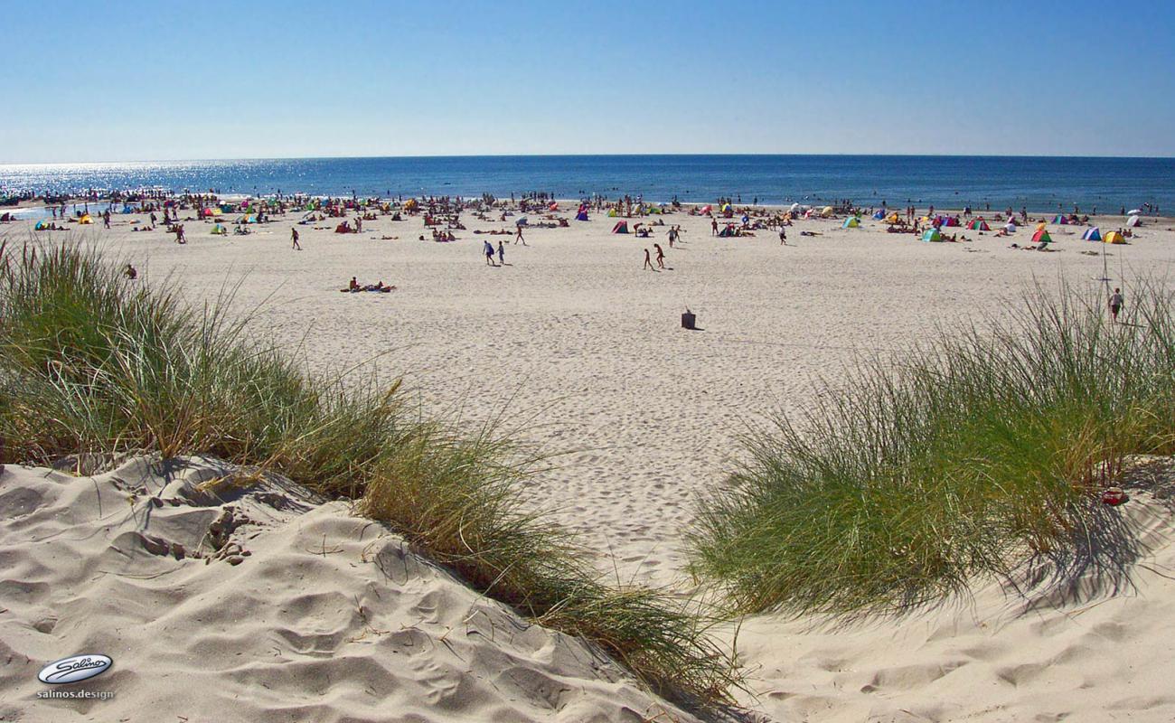 Vejers Beach'in fotoğrafı parlak kum yüzey ile