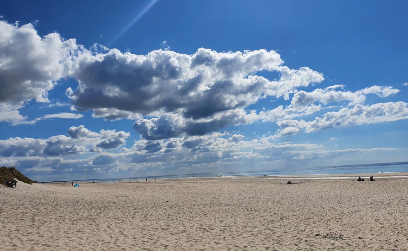 Hoje Knolde Beach'in fotoğrafı parlak kum yüzey ile