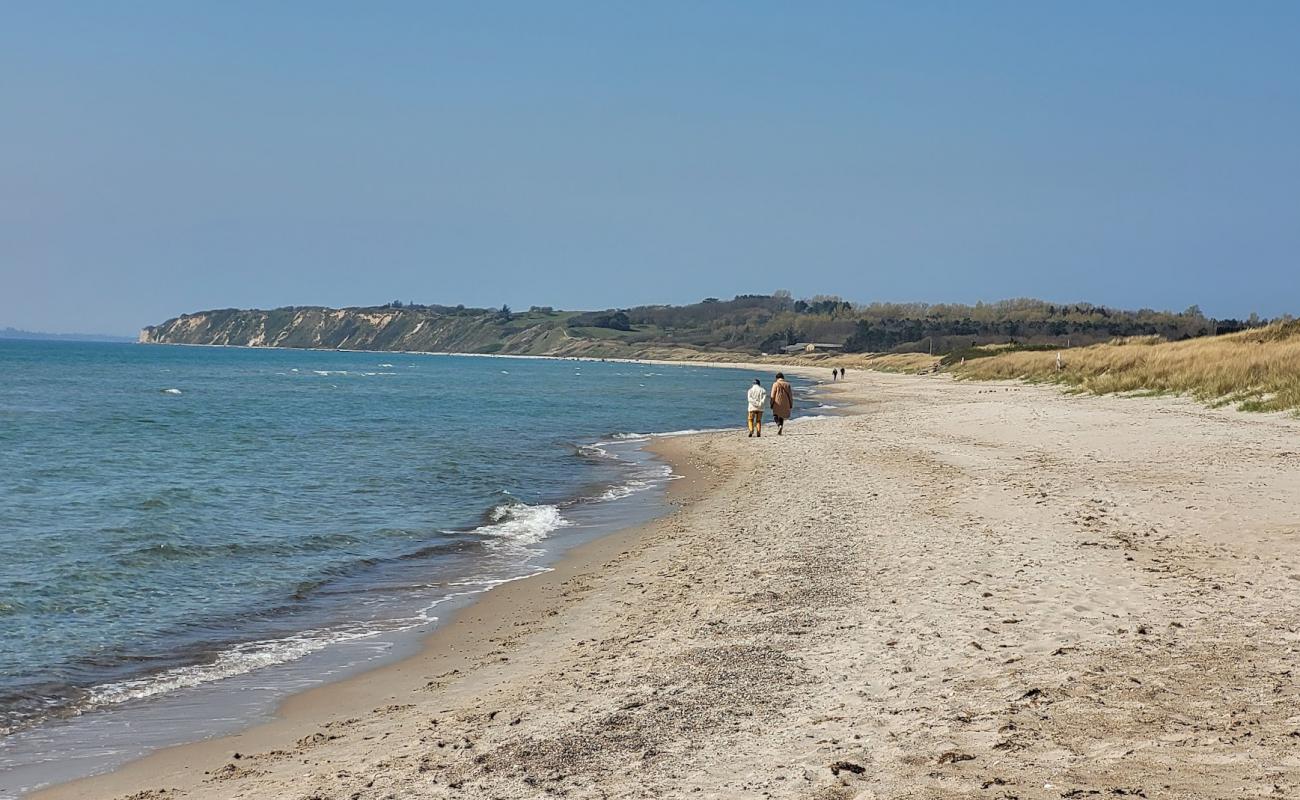 Bjornhoj Beach'in fotoğrafı açık bej kum yüzey ile