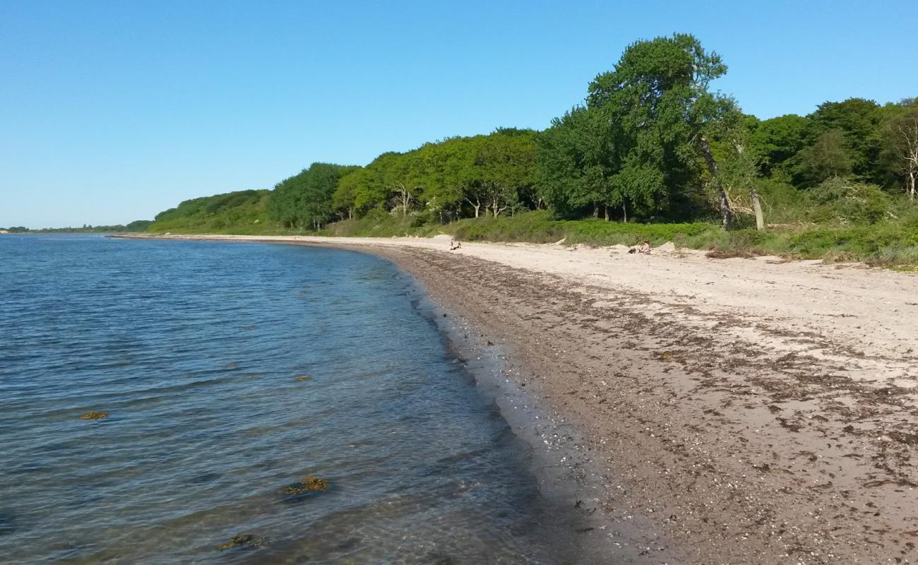 Lohals Nordstrand Beach'in fotoğrafı açık bej kum yüzey ile