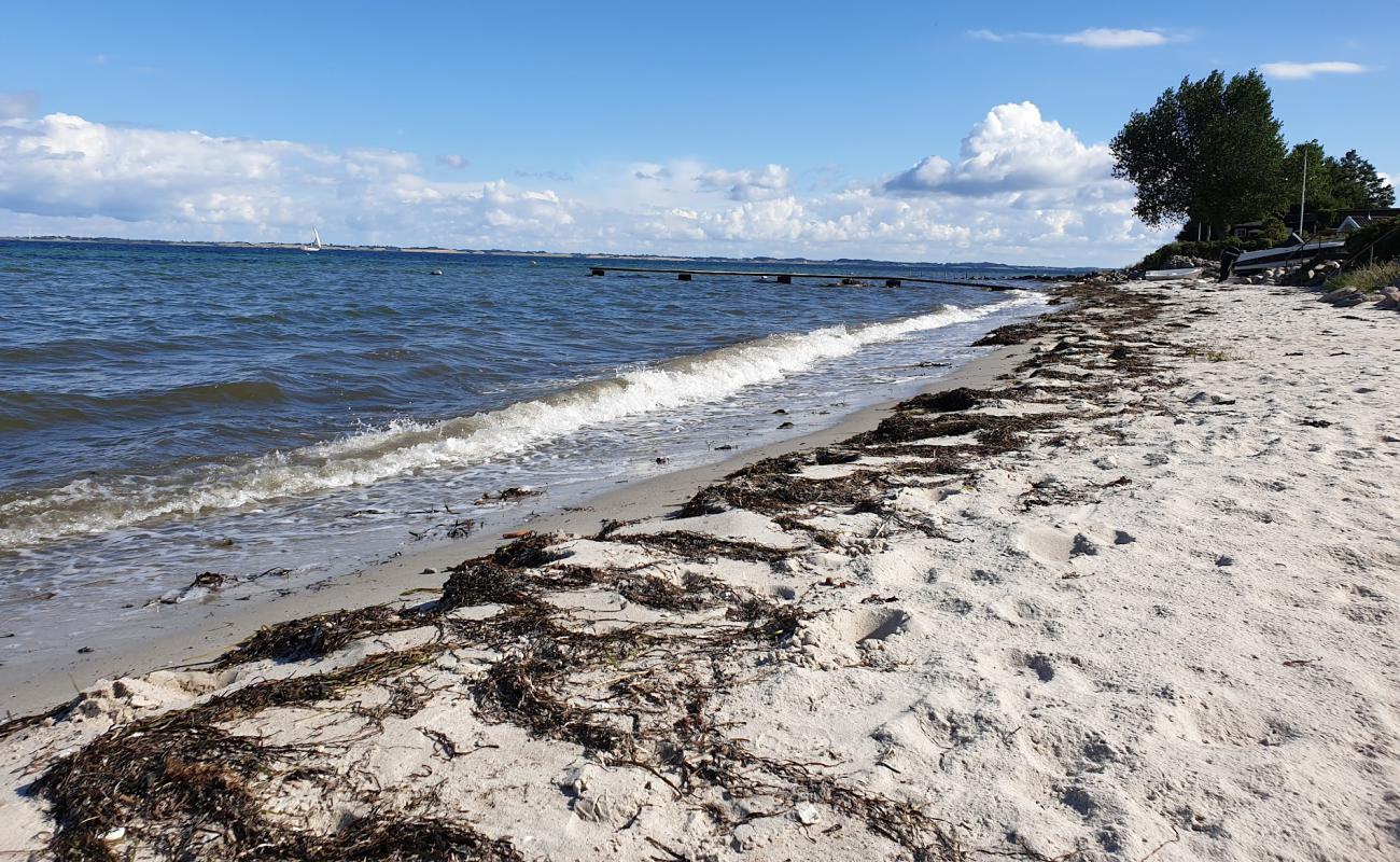 Elsehoved Beach'in fotoğrafı parlak kum yüzey ile