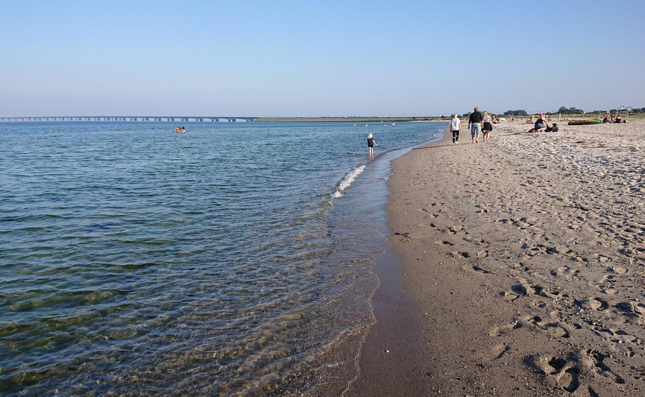 Nyborg Beach'in fotoğrafı açık bej kum yüzey ile