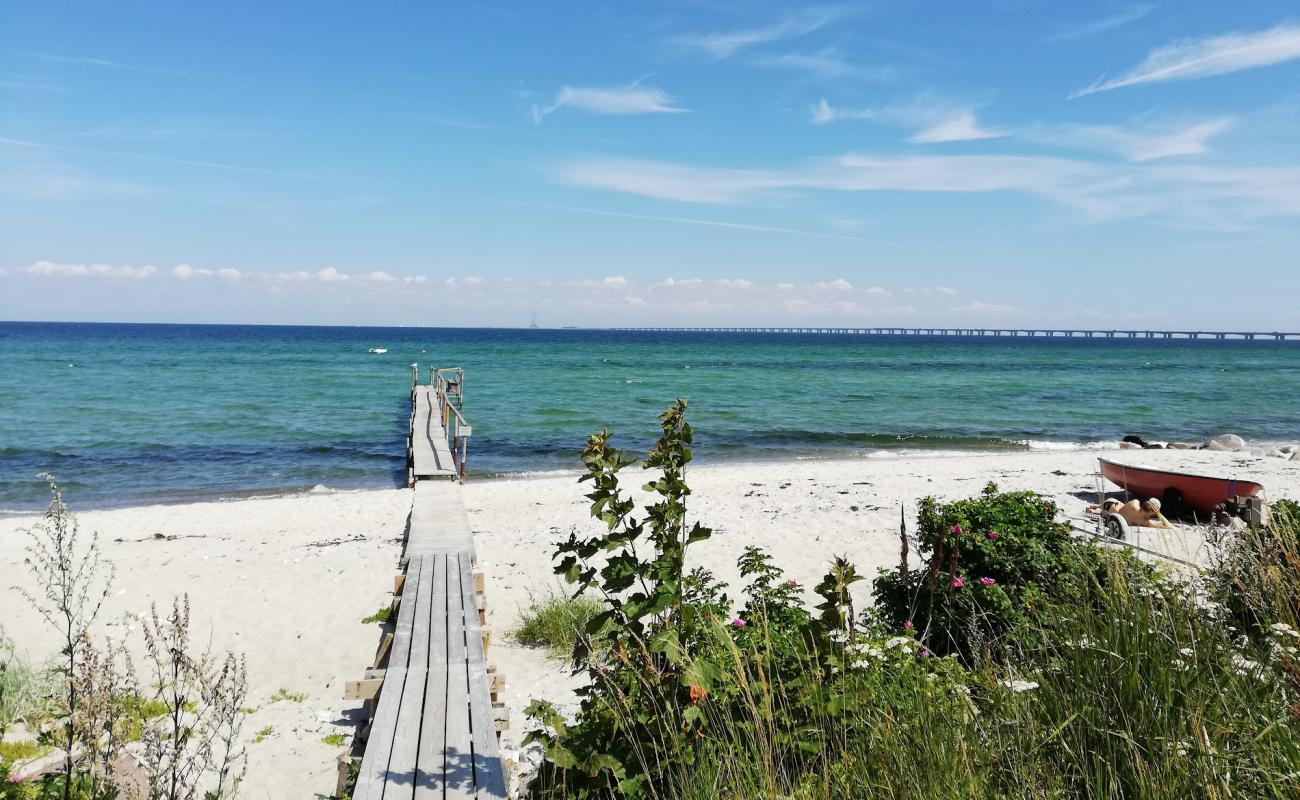 North Nyborg Beach'in fotoğrafı açık bej kum yüzey ile