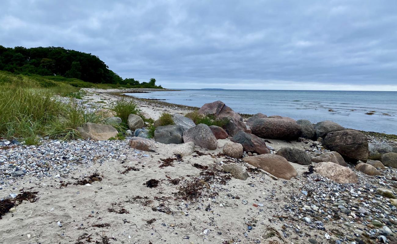 Nordenhuse Beach'in fotoğrafı çakıl ile kum yüzey ile