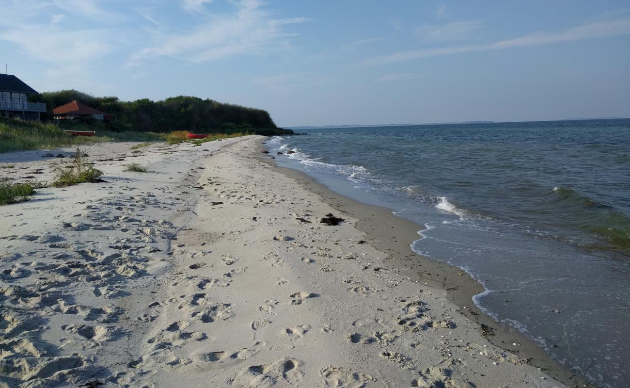 Dinestrup Beach'in fotoğrafı parlak kum yüzey ile