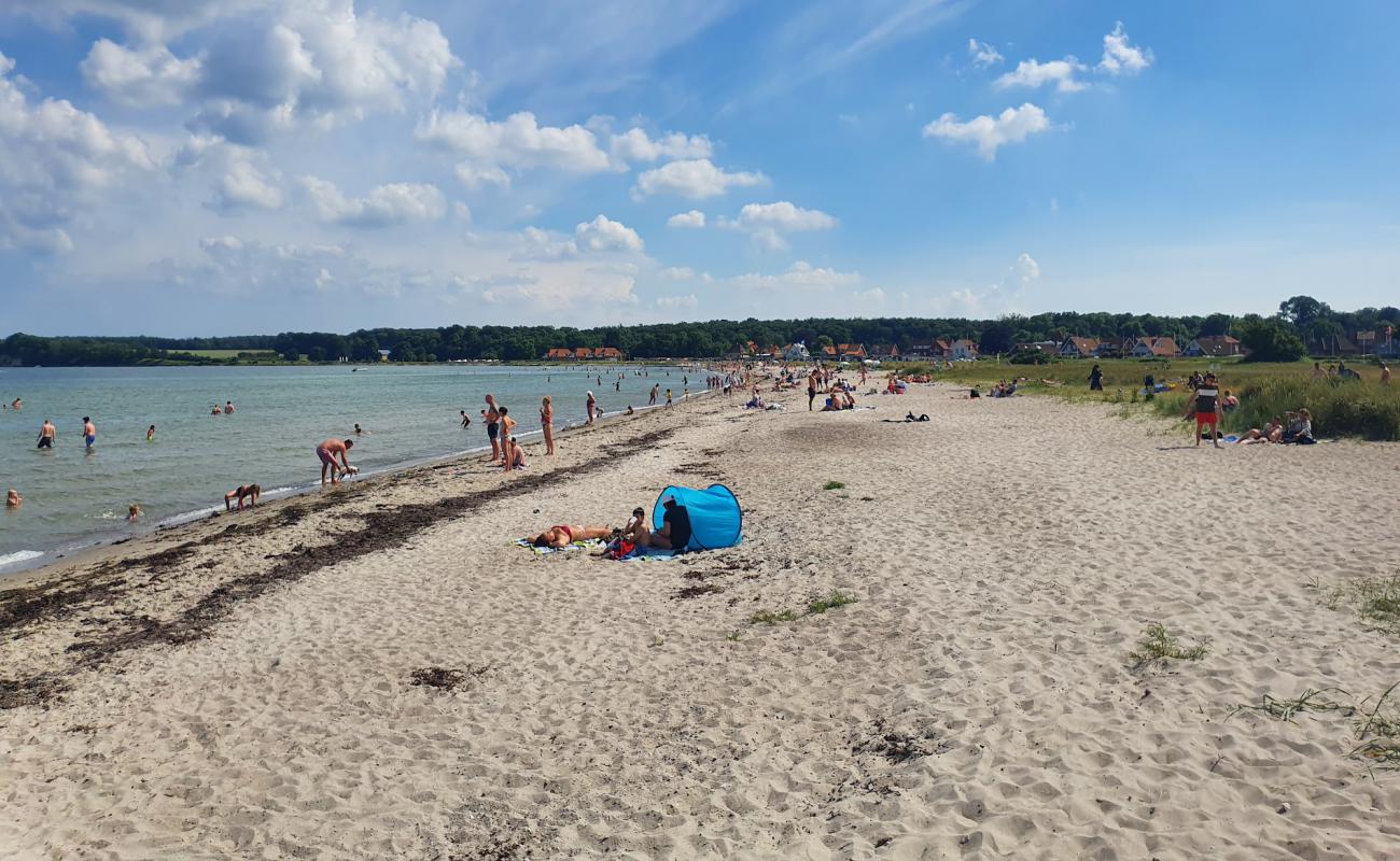 Kerteminde Beach'in fotoğrafı çakıl ile kum yüzey ile