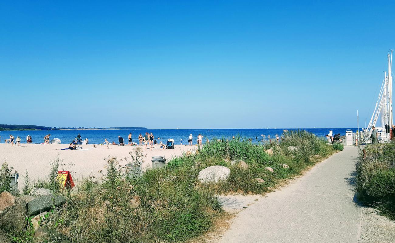 Kerteminde Nordsrand Beach'in fotoğrafı parlak kum yüzey ile