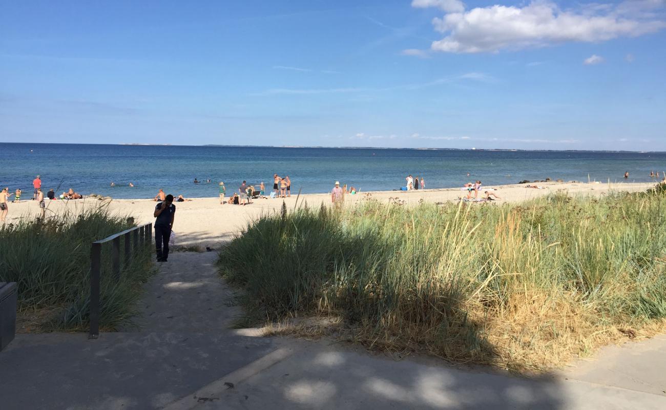 Hasmark Beach'in fotoğrafı açık bej kum yüzey ile