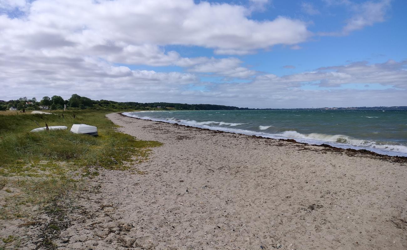 Varbjerg Beach'in fotoğrafı bej kum ve kayalar yüzey ile