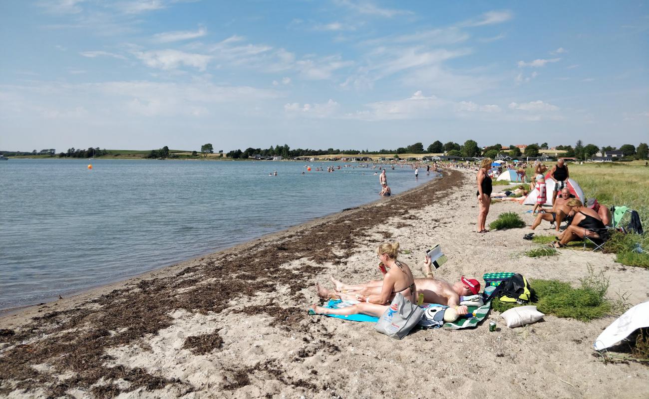 Fons Beach'in fotoğrafı açık bej kum yüzey ile