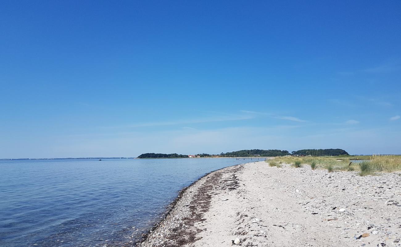 Saltofte Beach'in fotoğrafı açık bej kum yüzey ile