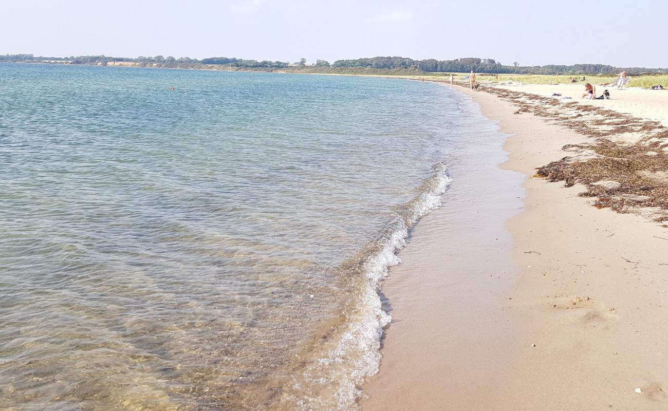 Egurup Beach'in fotoğrafı parlak kum yüzey ile