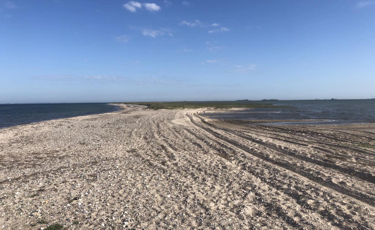 Albuen Beach'in fotoğrafı parlak kum yüzey ile