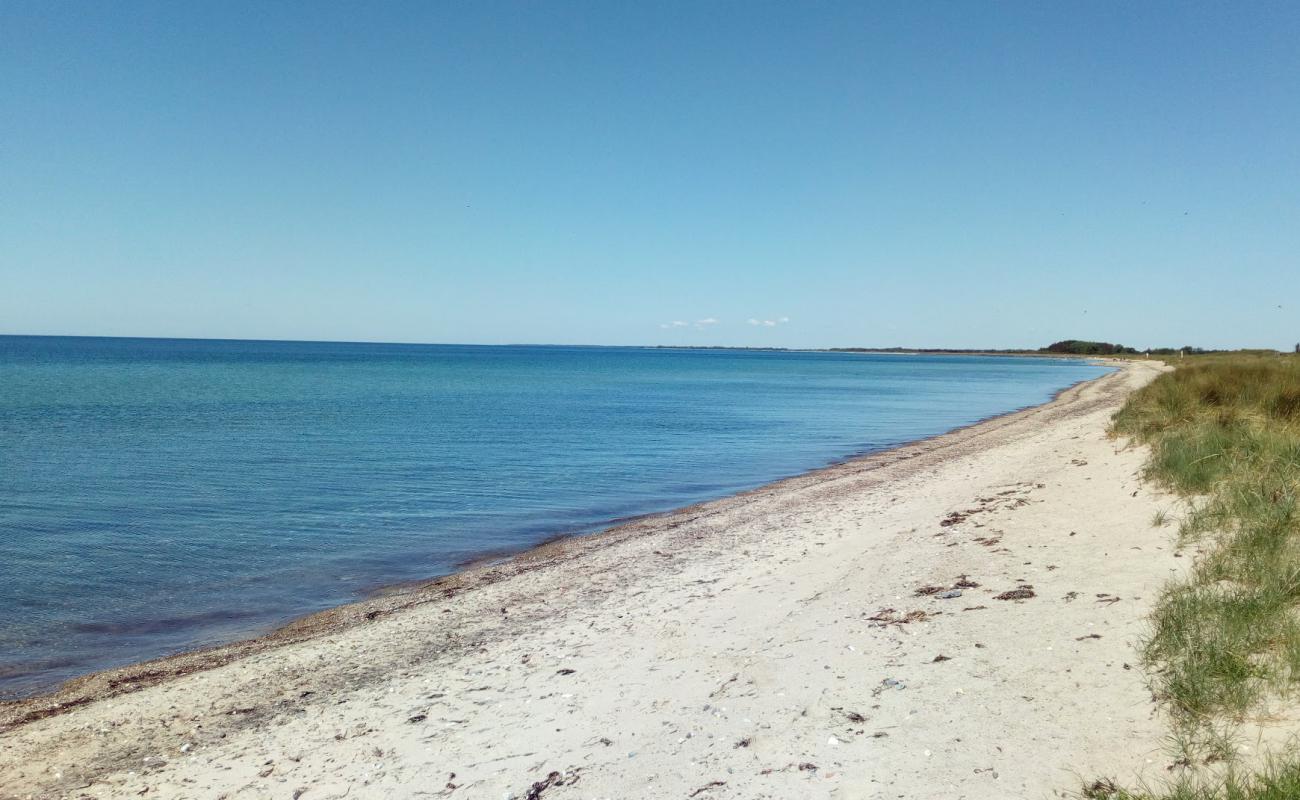 Bredfjed Beach'in fotoğrafı parlak kum yüzey ile