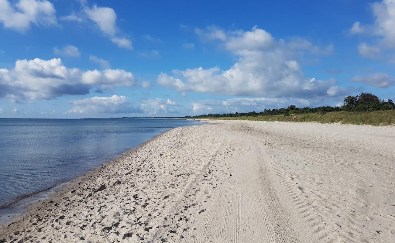 Marielyst Beach'in fotoğrafı parlak kum yüzey ile