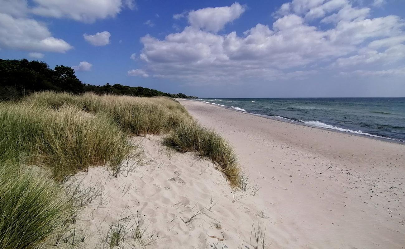 Klintholm Beach'in fotoğrafı parlak kum yüzey ile