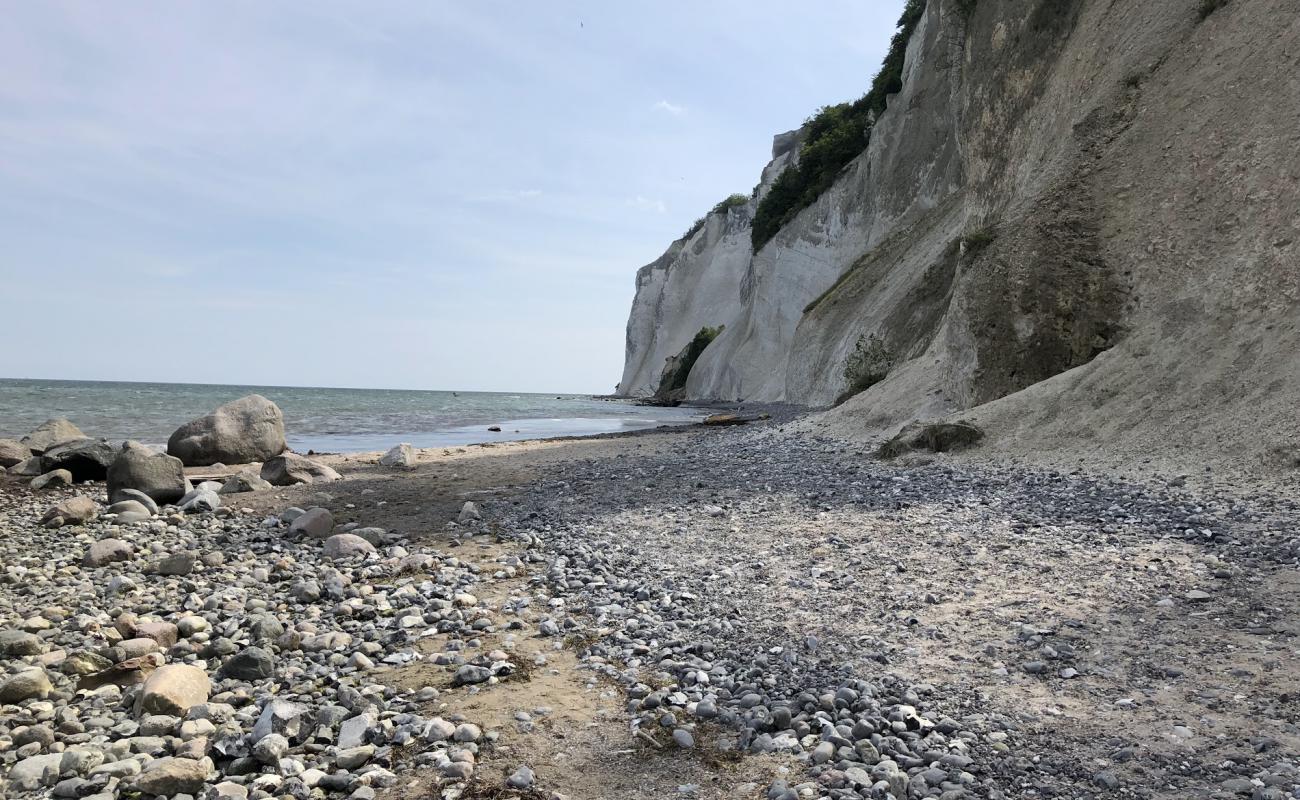 Stranden Mons Klint Beach'in fotoğrafı hafif çakıl yüzey ile