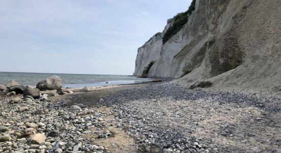 Stranden Mons Klint Beach