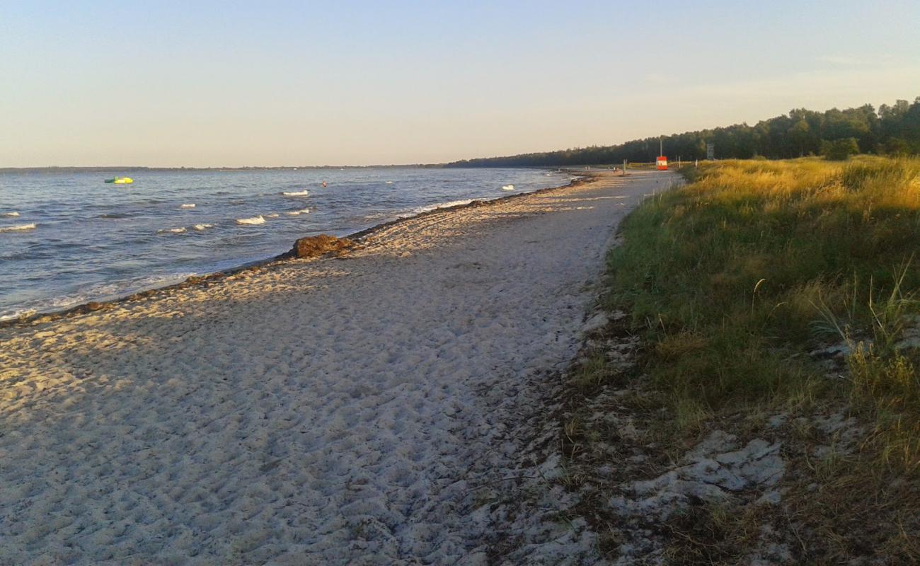 Fed Beach'in fotoğrafı parlak kum yüzey ile