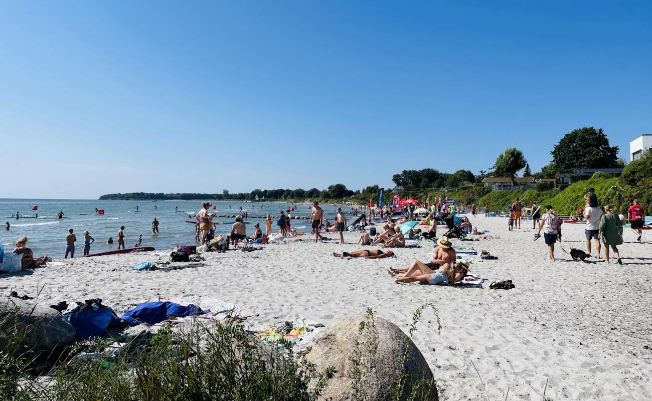 Rodving Sand Beach'in fotoğrafı parlak kum yüzey ile