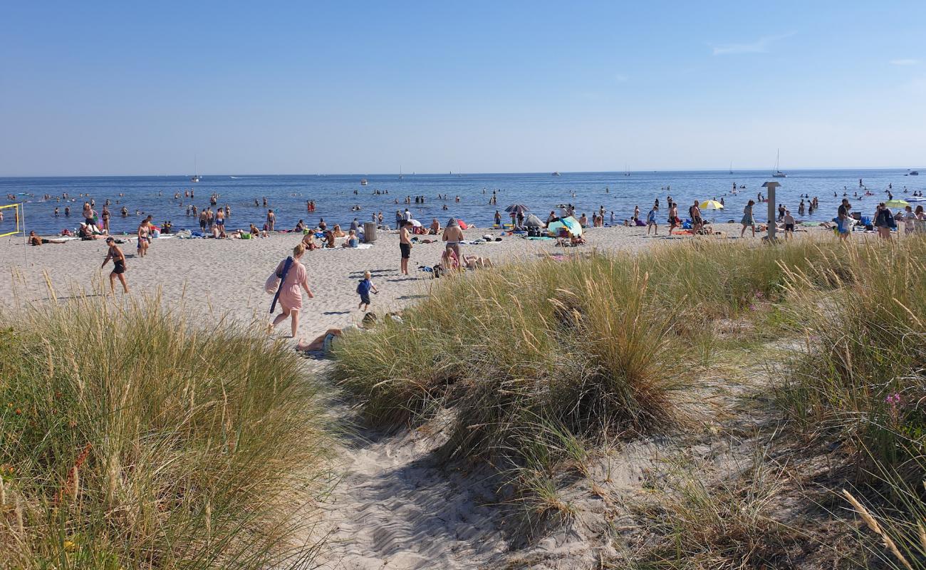 Ishoj Beach'in fotoğrafı açık bej kum yüzey ile