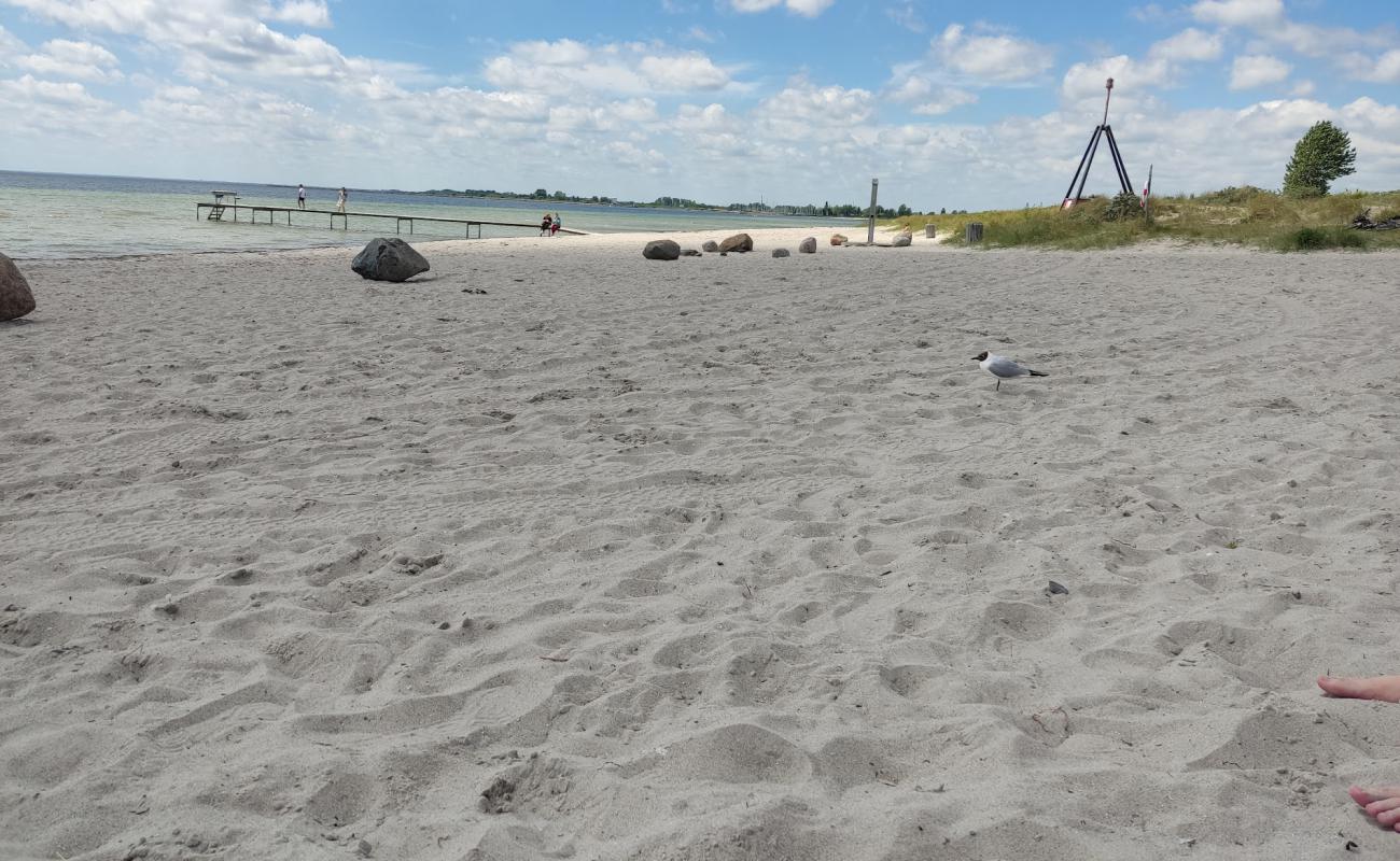 Brondby Beach'in fotoğrafı parlak kum yüzey ile