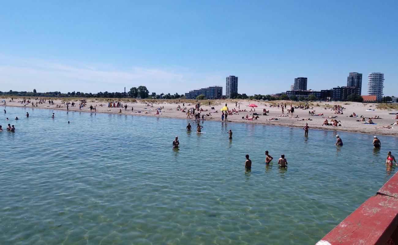 Amager Beach'in fotoğrafı parlak kum yüzey ile