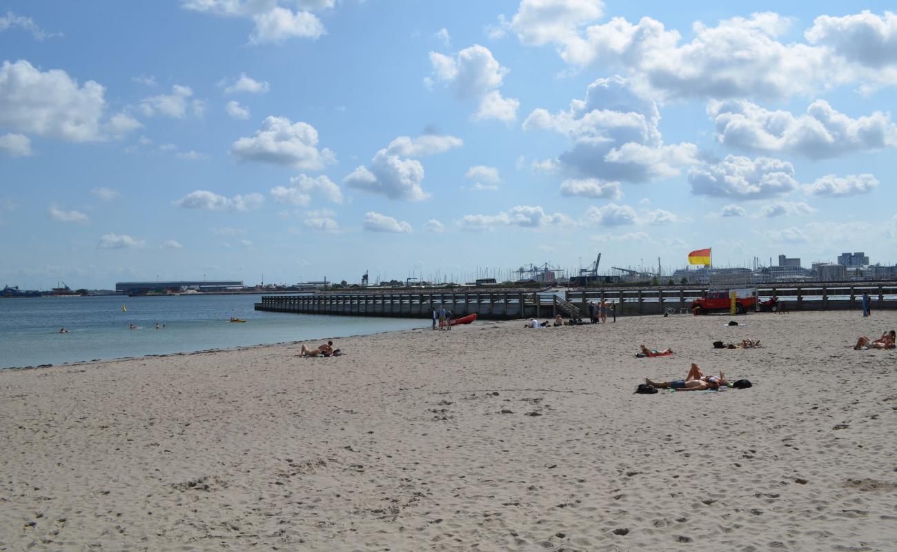 Svanemolle Beach'in fotoğrafı parlak kum yüzey ile