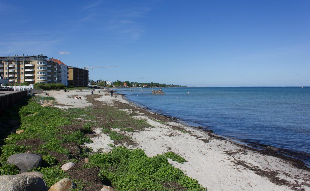 Hellerup Beach'in fotoğrafı parlak kum yüzey ile