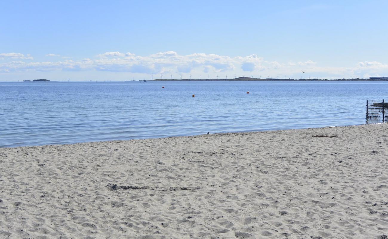 Strandlund nudist Beach'in fotoğrafı parlak kum yüzey ile