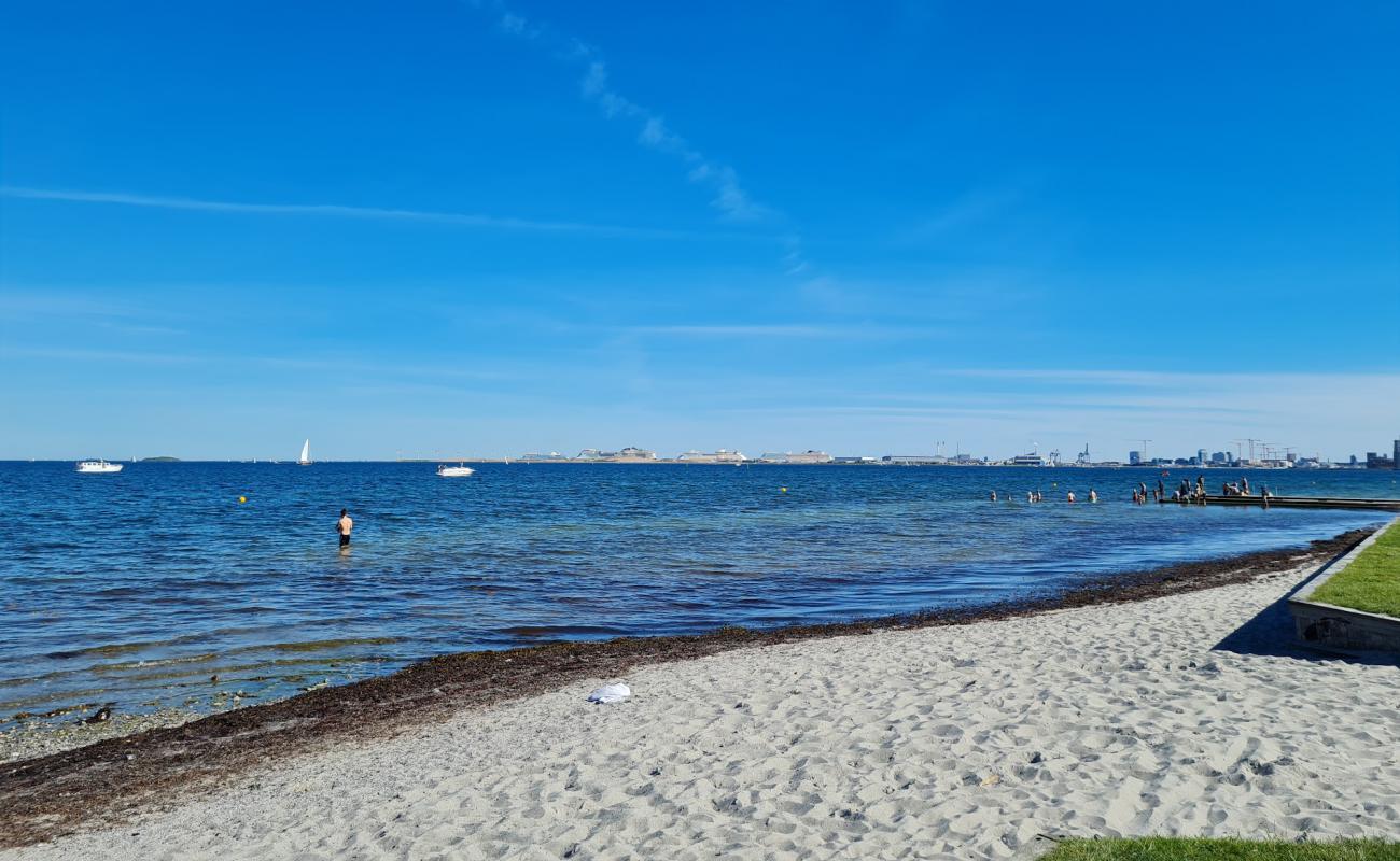 Charlottenlund Beach'in fotoğrafı parlak kum yüzey ile