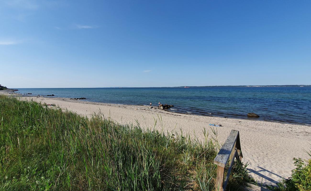 Julebek Beach'in fotoğrafı açık bej kum yüzey ile