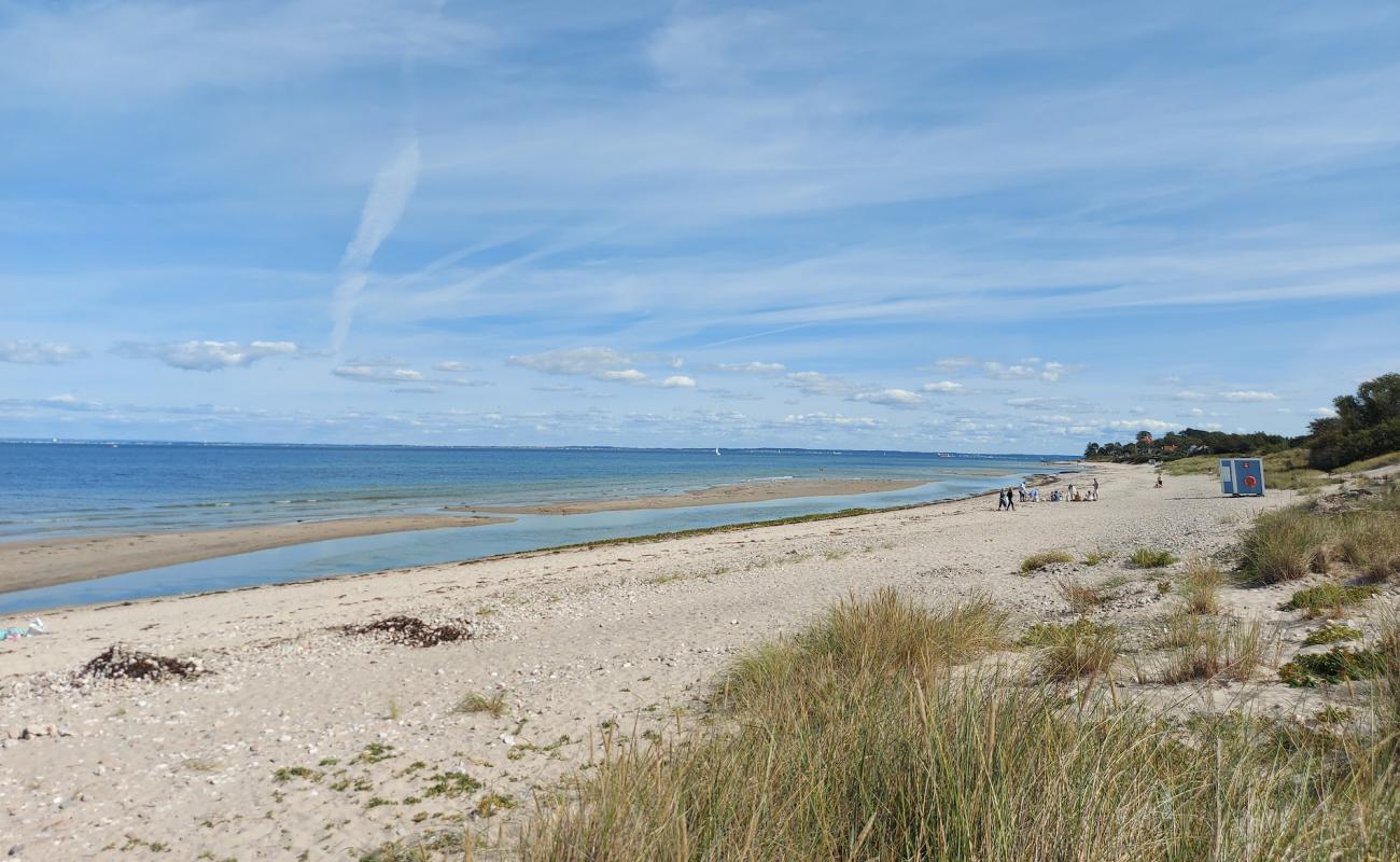Dronningmolle Beach'in fotoğrafı açık bej kum yüzey ile