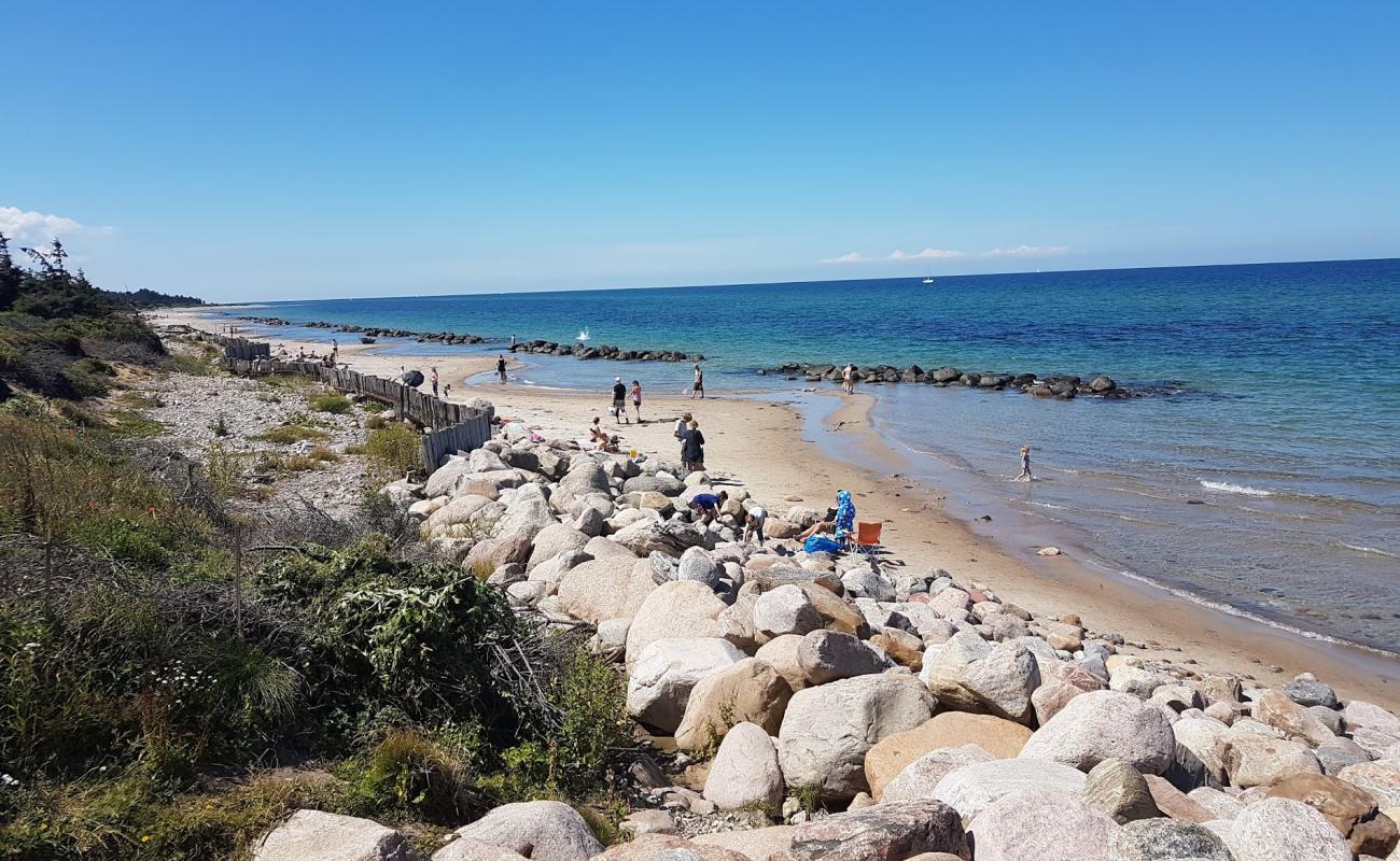 Tinkerup Beach'in fotoğrafı çakıl ile kum yüzey ile