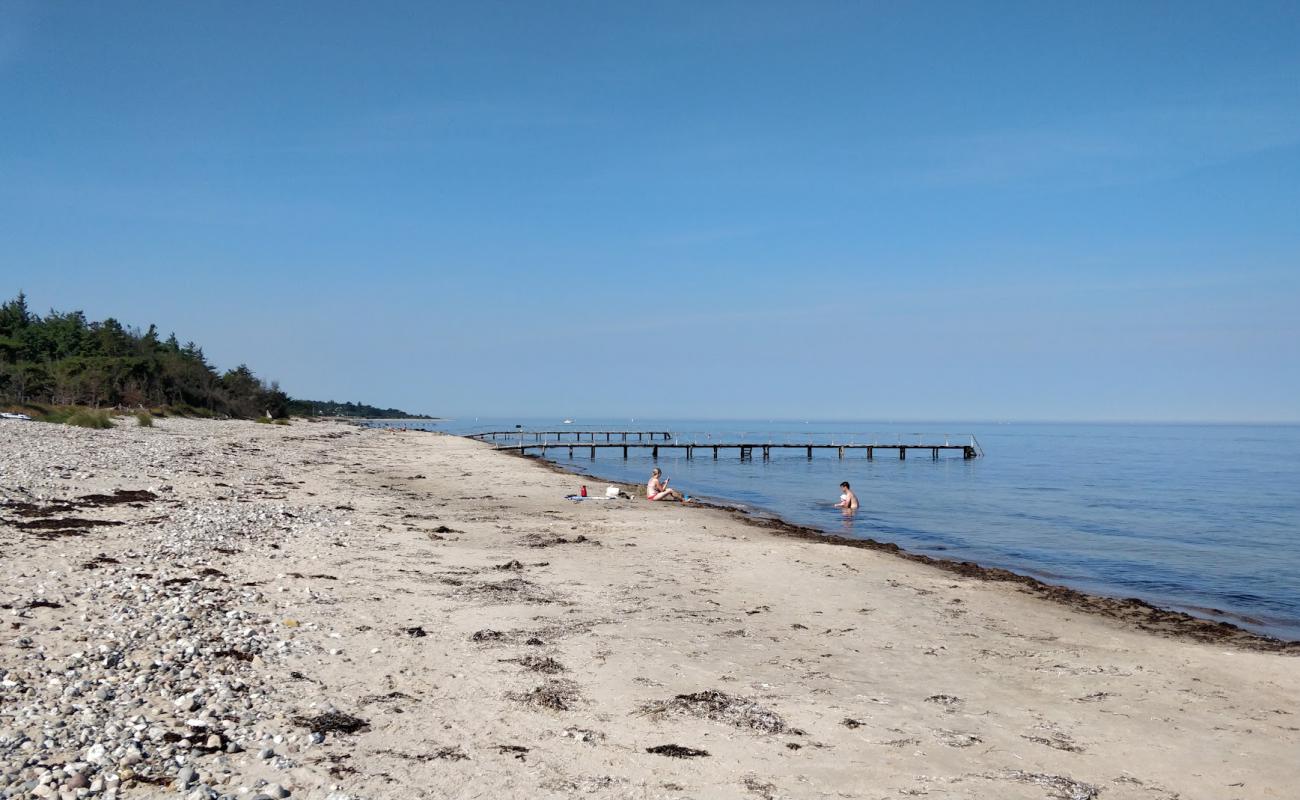 Smidstrup Beach'in fotoğrafı çakıl ile kum yüzey ile