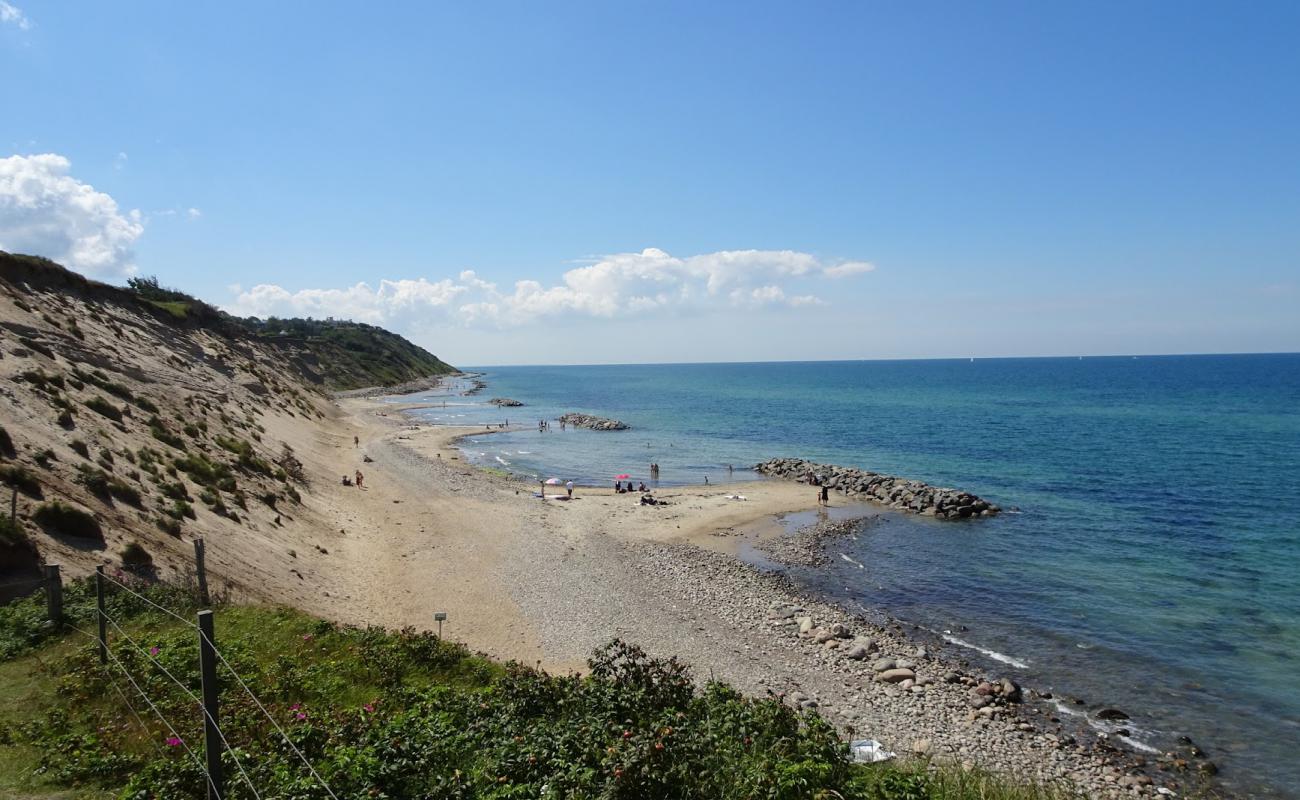 Vejby Beach'in fotoğrafı parlak kum yüzey ile