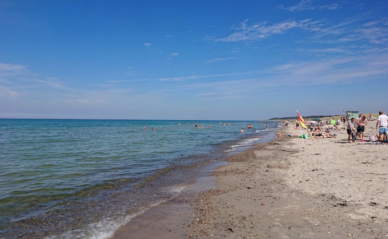 Stangehus Beach'in fotoğrafı çakıl ile kum yüzey ile