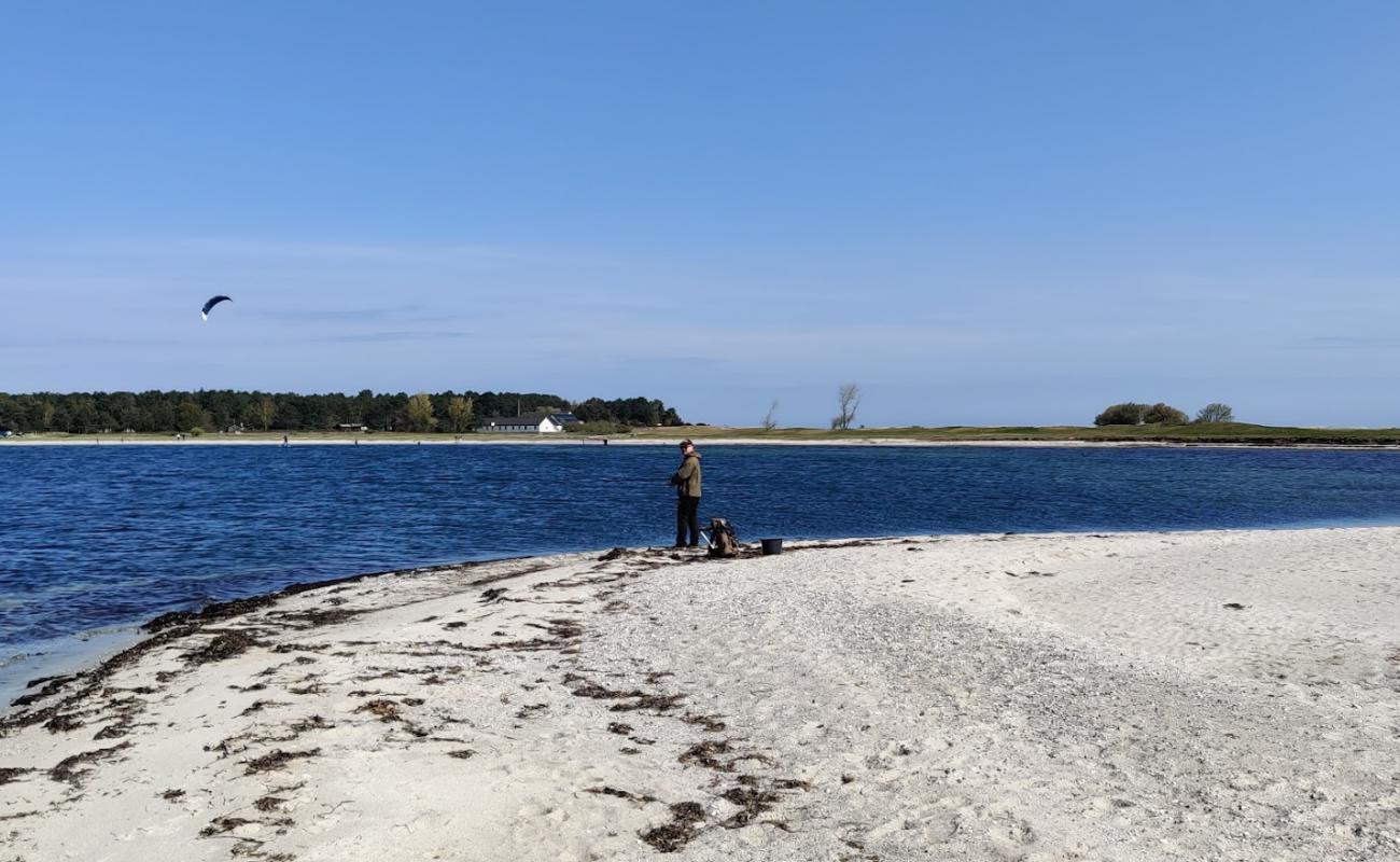 Skansehage Beach'in fotoğrafı parlak kum yüzey ile