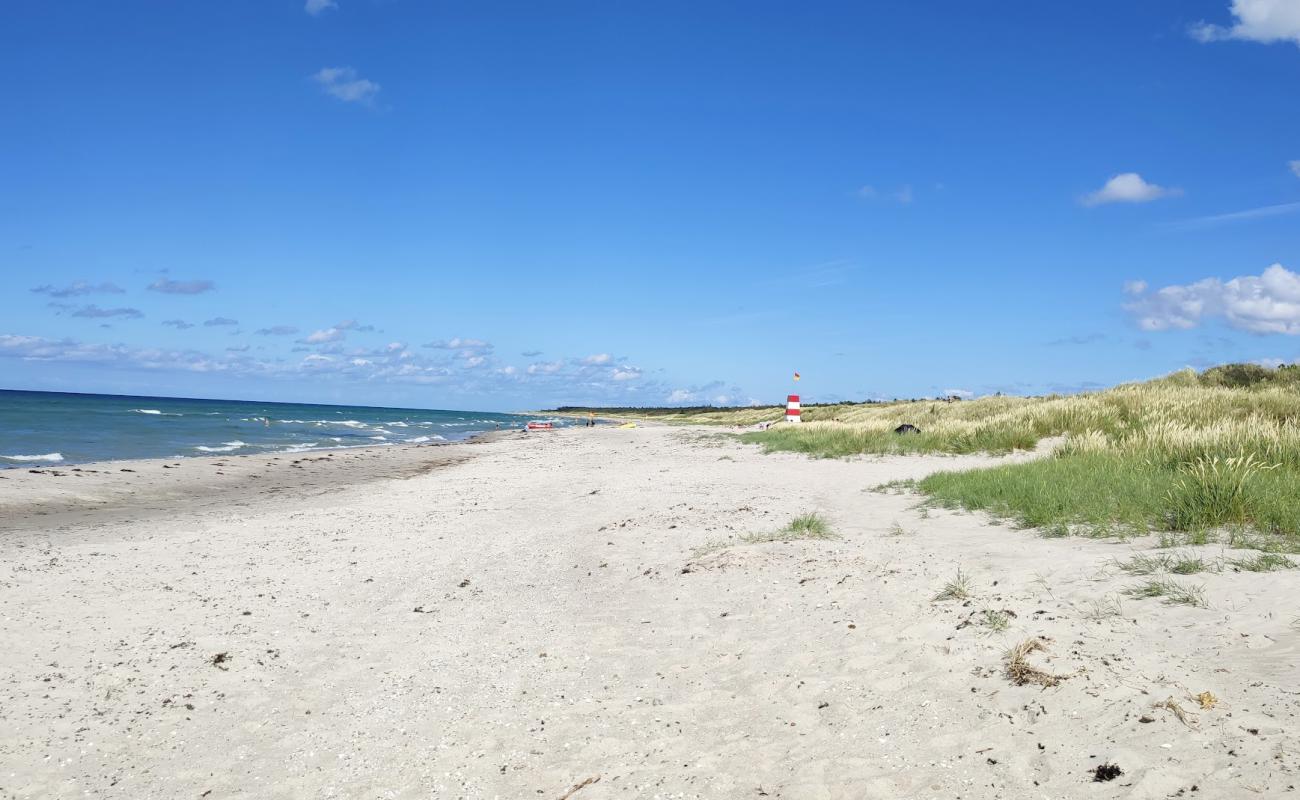 Rorvig Beach'in fotoğrafı parlak kum yüzey ile